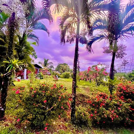 Hotel Tierra De Volcanes Ла Фортуна Экстерьер фото