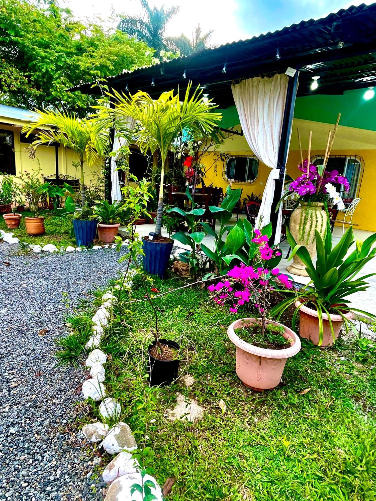 Hotel Tierra De Volcanes Ла Фортуна Экстерьер фото